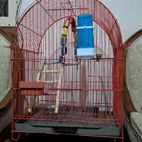 قفس پرنده