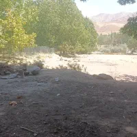 خوشه میبریم گروهی