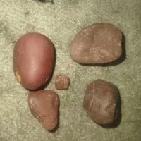 چهار عدد سنگ جاسپر اصل