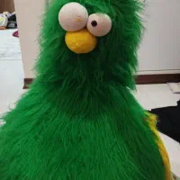 عروسک پلیشی بزرگ