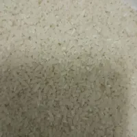 نیم دانه