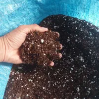 خاک مخصوص گل‌های آپارتمانی