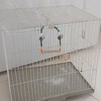 قفس پرنده نو