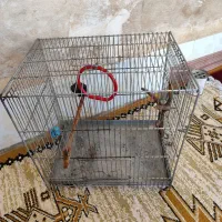 قفس سهره و قفس طوطی بزرگ