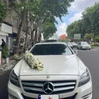 اجاره ماشین عروس بنز الهه زیبایی
