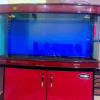 آکواریوم شرکتی ژاپنی