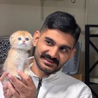 اسکاتیش گلد ny12