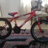 دوچرخه 20 مدل RaLLY