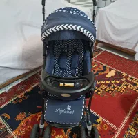 کالسکه دلیجان طرح دیپلمات