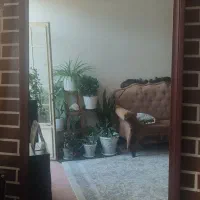 آینه قدی دور طرح چوب قهویی