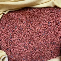 سویل و کود بستر