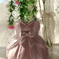 جا براشی پرنسسی