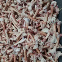 قلم گوسفندی