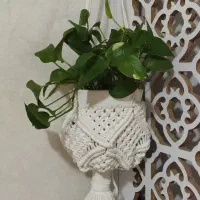 آویز گلدون|گل و گیاه طبیعی|مشهد, خواجه ربیع|دیوار