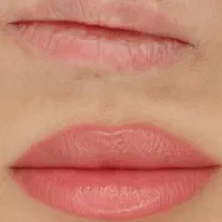 میکروبلیدینگ و شیدینگ لب فقط 700 تومان