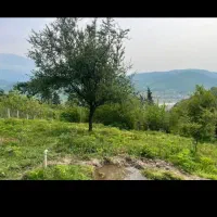 خانه-کلنگی