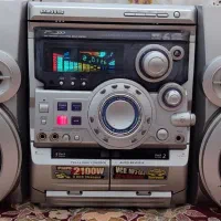 ضبط خانگی
