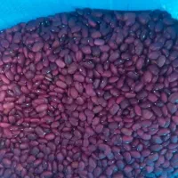 فروش انواع حبوبات ازتولید به مصرف باکیفیت