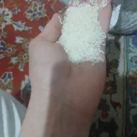 برنج|خوردنی و آشامیدنی|مشهد, دوست آباد|دیوار