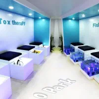 نیرو خانم خوش برخورد ساکن چیتگر یا کوهک ترجیحا