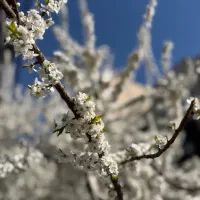 با گوشی و اینترنت توی دستت درآمد داشته باش