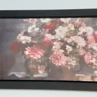 معاوضه هم دارم