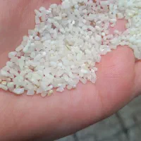 برنج|خوردنی و آشامیدنی|صحنه, |دیوار