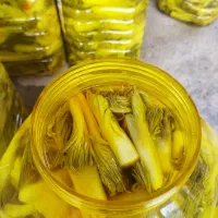 دودبه ترشی بیلهر خوشمزه وخوش بو