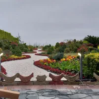 برقکار تک فاز و سه فاز