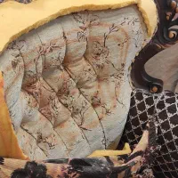 کارگر شکافته کار مبل