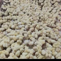 جوجه گوشتی