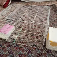 قفس پرنده لانه پرنده