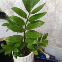 هوای-مثبت-3و4متراژ-65متر