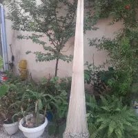 ماشک