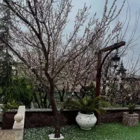 باغبانی و سمپاشی