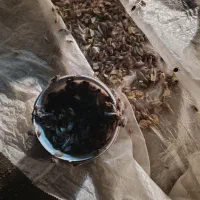خوراکی