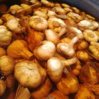 سیر ترشی