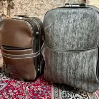 درختچه پاییزی و دو عدد چمدان