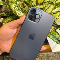12پرومکس