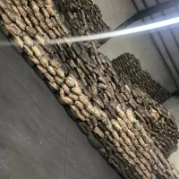 جذب نیروی کاری ساده حقوق۳۰میلیون