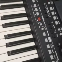 Pa300