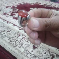 نقره|جواهرات|رشت, جانبازان|دیوار