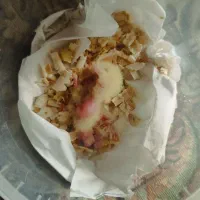 جوجه عروس هلندی