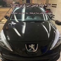 واکس و پولیش سه مرحله تا ۲ سال تضمینی در محل