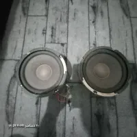 یک جفت باند الجی