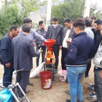سفید کن شلتوک خانگی