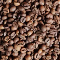 بازاریاب و پخش دان قهوه