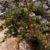 زمین-400-متری-جاده-پوینک-فیلستان
