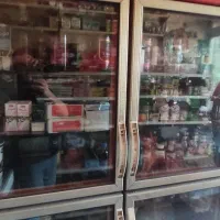یخچال ایستاده شش در
