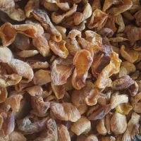 برگه زردالو